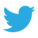 Twitter Models
